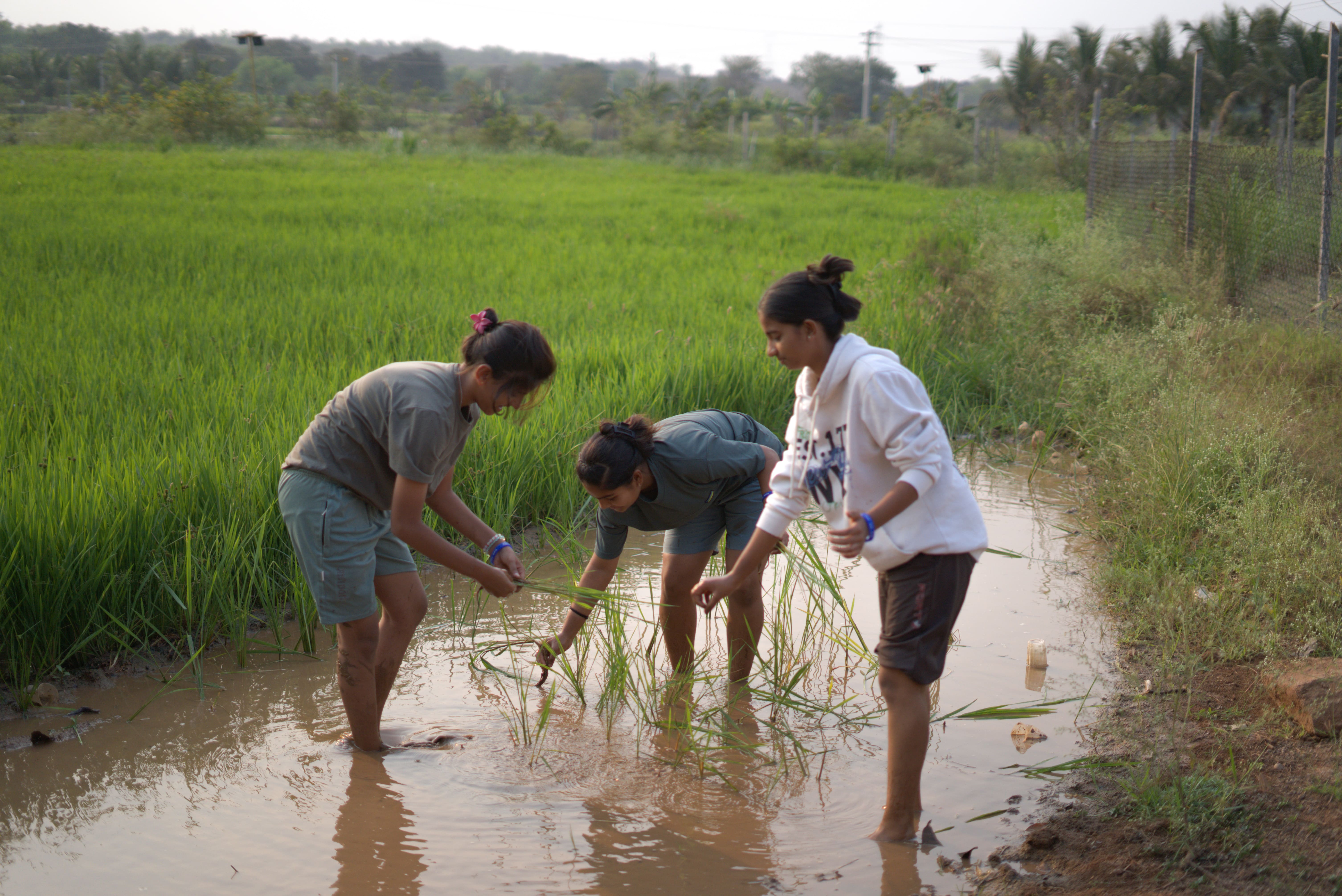 Group activities at Novae Glamp near Hyderabad