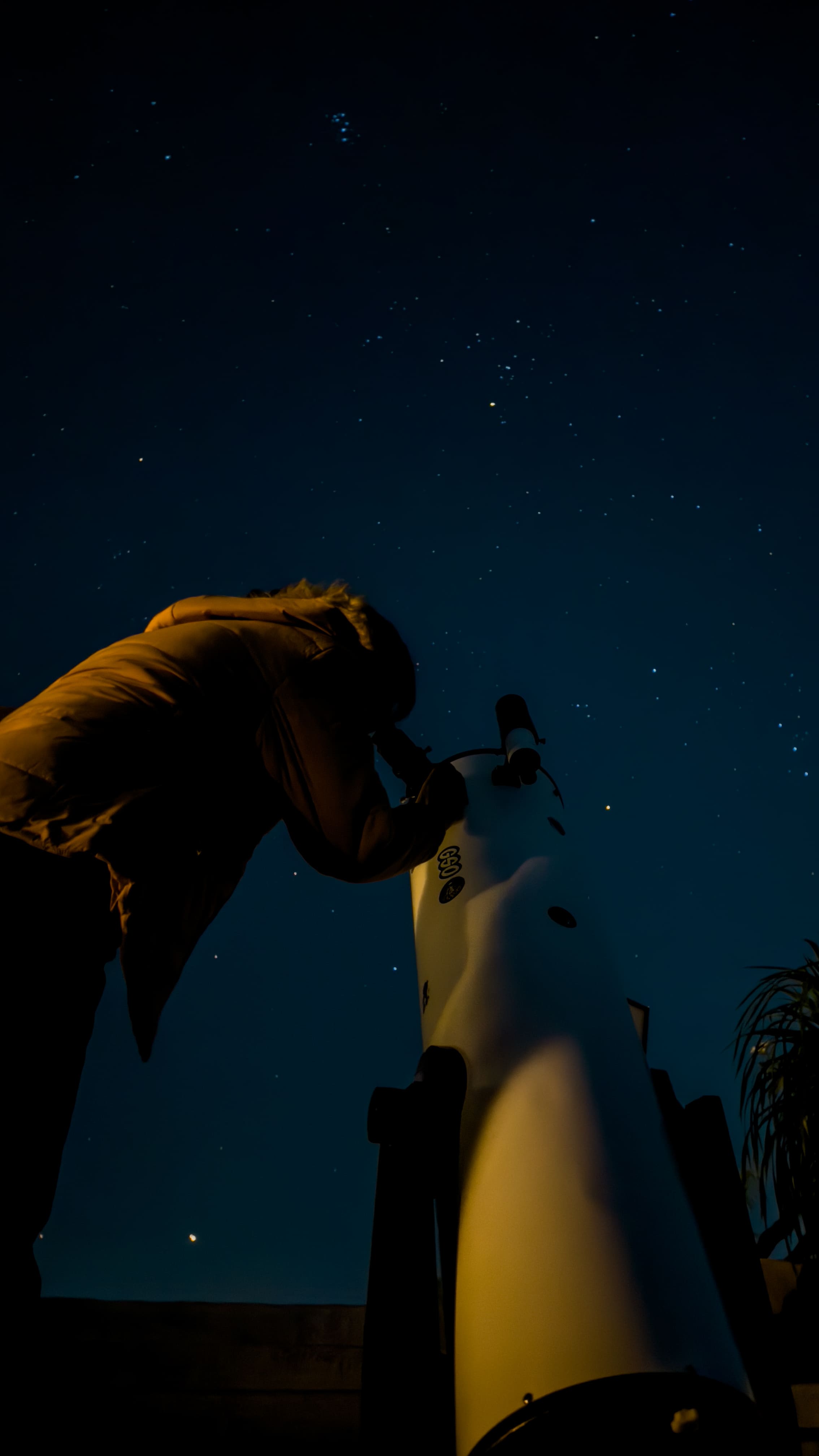 Night camping experience at Novae Glamp near Hyderabad